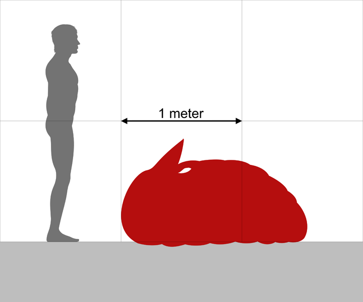 File:Gregandupila scale.png