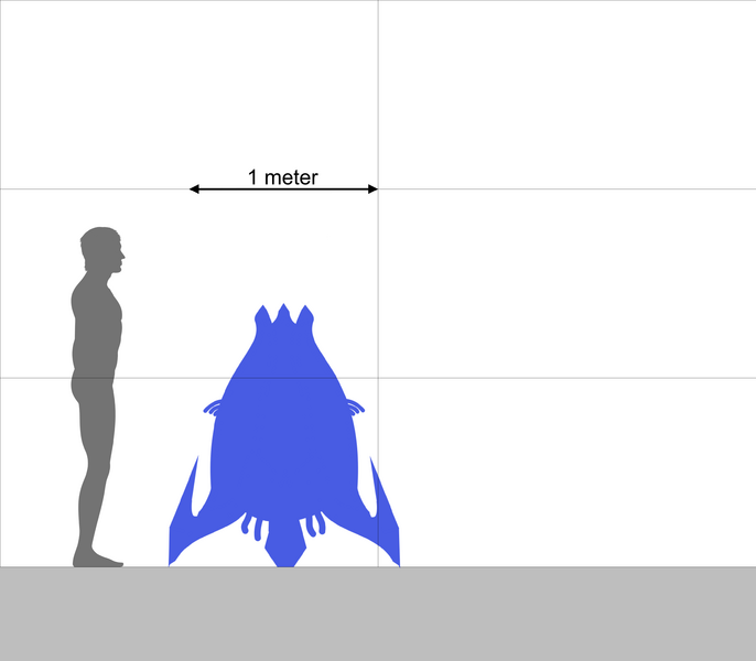 File:Tetropsid scale.png